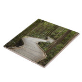 Boardwalk naar Nelson Herfsten, Franklin - Gordon Tegeltje (Zijkant)