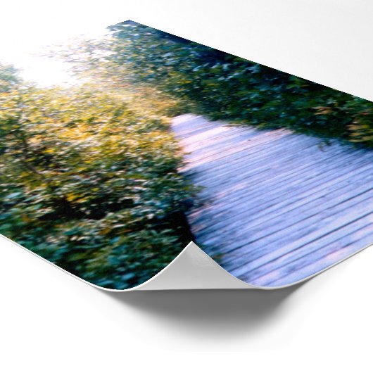 Boardwalk Poster (Hoek)