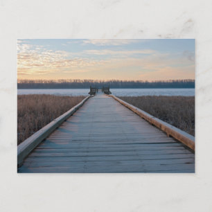 Boardwalk rivier en wetlands bij zonsopgang briefkaart