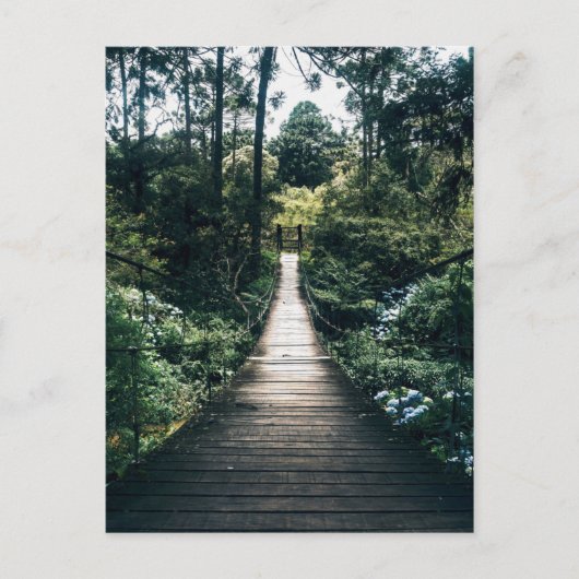 Boardwalk through door het bos briefkaart (Voorkant)