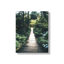 Boardwalk through door het bos