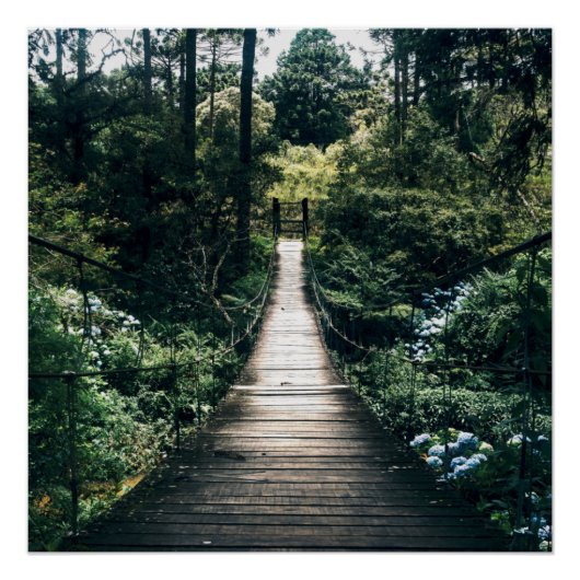Boardwalk through door het bos perfect poster (Voorkant)