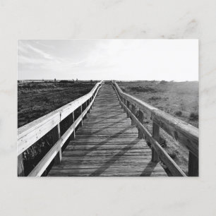 Boardwalk Walking Trail Florida Briefkaart