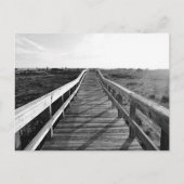 Boardwalk Walking Trail Florida Briefkaart (Voorkant)