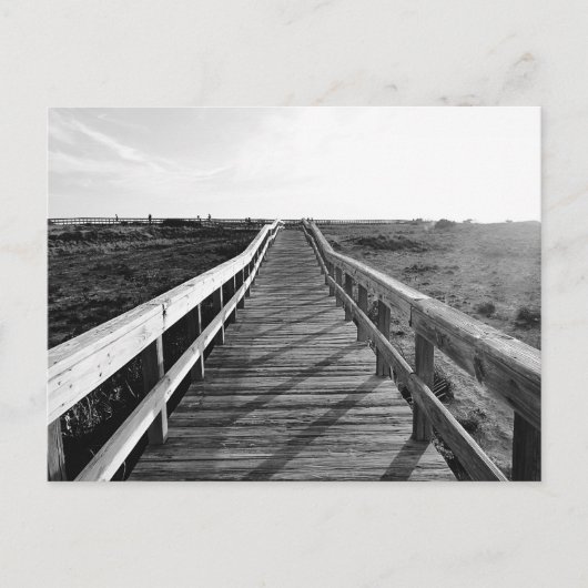 Boardwalk Walking Trail Florida Briefkaart (Voorkant)