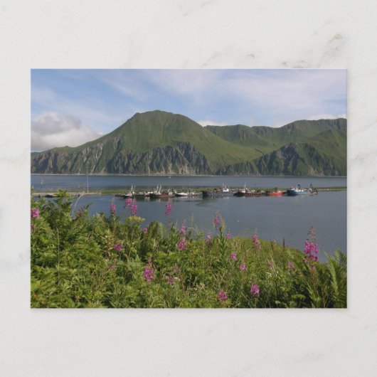 Boat aan de kuil van de Nederlandse haven, Alaska Briefkaart (Voorkant)