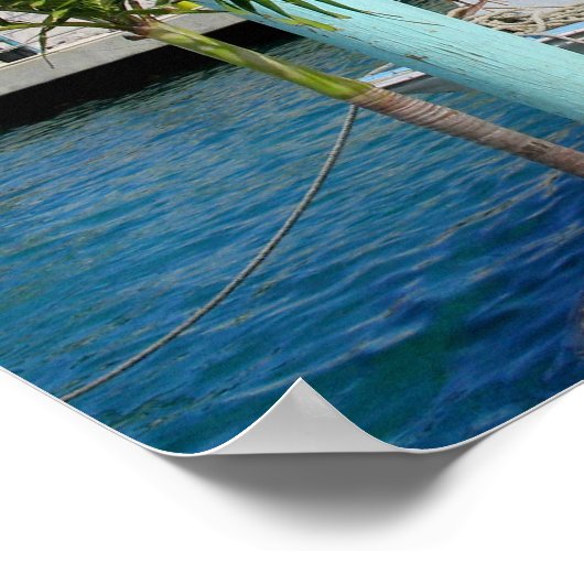 Boat & Brug, Nassau Poster (Hoek)