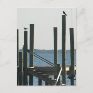 Boat Docks in Dusk Briefkaart