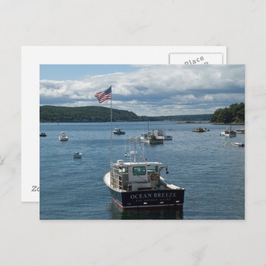 Boat in Bar Harbour Briefkaart (Voorkant / Achterkant)