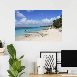 Boat op de strand poster