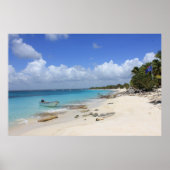 Boat op de strand poster (Voorkant)