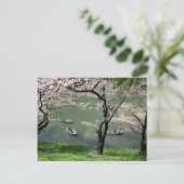 Boating op Chidorigafuchi: Tokio, Japan Briefkaart (Staand voorkant)