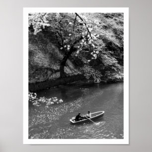 Boating op Chidorigafuchi: Tokio, Japan Poster