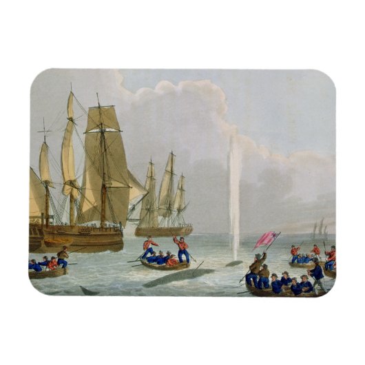 Boats Approaching a Whale, gegraveerd door Matthew Magneet (Horizontaal)