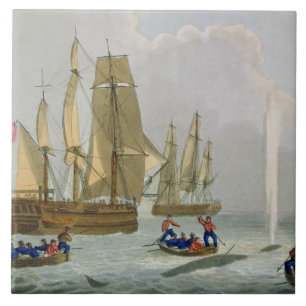 Boats Approaching a Whale, gegraveerd door Matthew Tegeltje