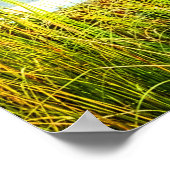 Boats door de Dock Poster (Hoek)