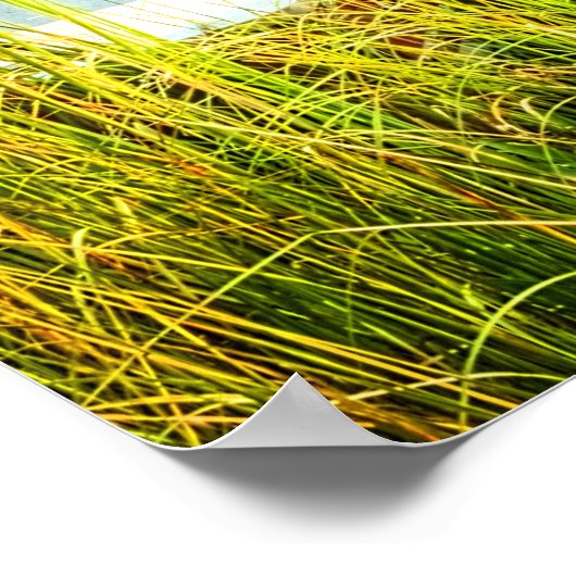 Boats door de Dock Poster (Hoek)