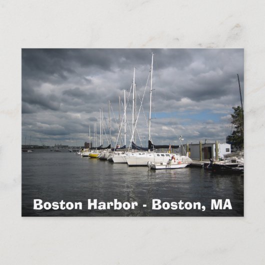 Boats in Boston Harbour Briefkaart (Voorkant)