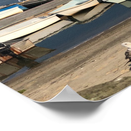 Boats in Chatham Harbour Kaap Summer Poster (Hoek)