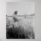 Boaz in Bethlehem Poster (Voorkant)