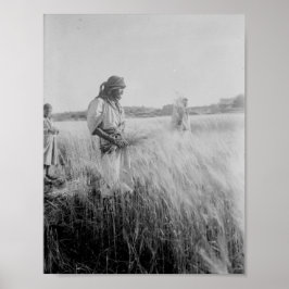 Boaz in Bethlehem Poster