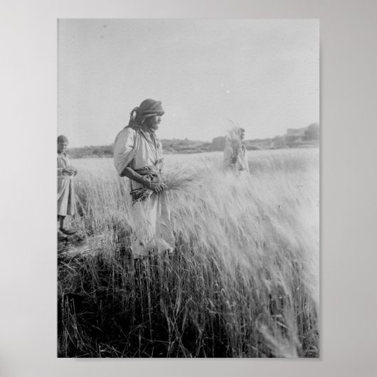 Boaz in Bethlehem Poster (Voorkant)