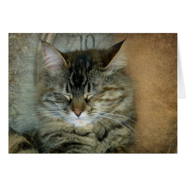 Bob (Voorkant Horizontaal)