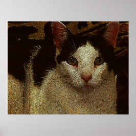 Bob de Ernstige Poster