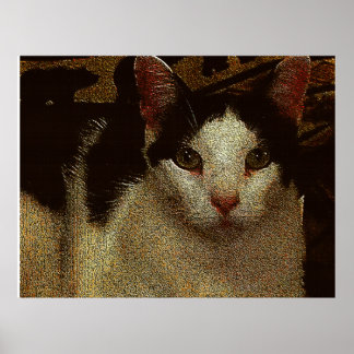 Bob de Ernstige Poster