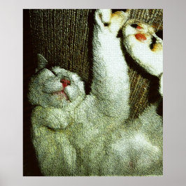 Bob die een dutje doet poster