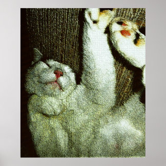 Bob die een dutje doet poster