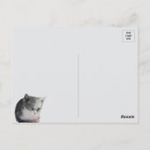 Bob in gedachten - Zwart-wit kat Briefkaart (Achterkant)