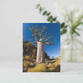 bob, kimberley briefkaart (Staand voorkant)