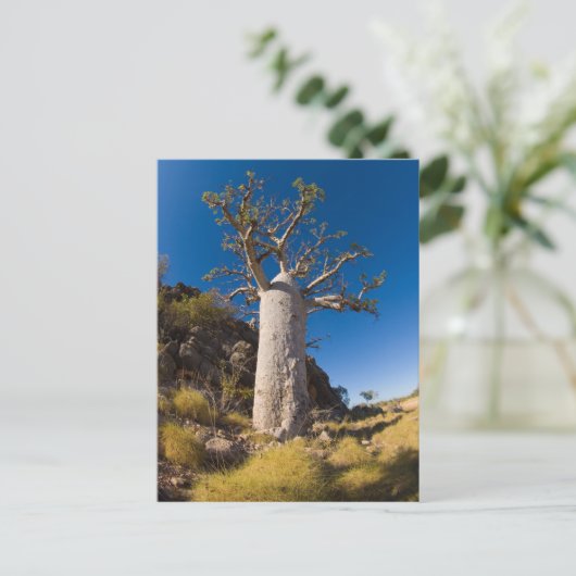 bob, kimberley briefkaart (Staand voorkant)