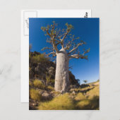 bob, kimberley briefkaart (Voorkant / Achterkant)