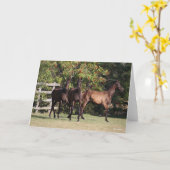 Bob Langrish | 3 Andalucian Youngsters Standing Kaart (Gele Bloem)