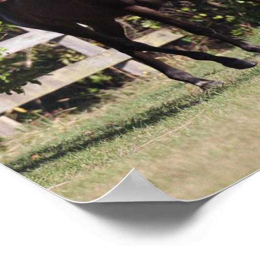 Bob Langrish | 3 Jongeren uit Andalusië Poster (Hoek)