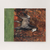 Bob Langrish | Achtergrond van het Arabische gymna Legpuzzel (Horizontaal)