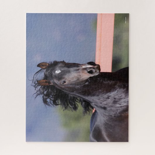 Bob Langrish | Achterste Andalusiaans hoofdschot Legpuzzel (Verticaal)