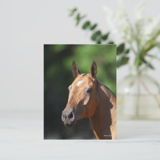 Bob Langrish | Akhal Teke Headshot Briefkaart (Staand voorkant)