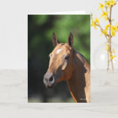 Bob Langrish | Akhal Teke Headshot Kaart (Gele Bloem)