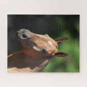 Bob Langrish | Akhal Teke Headshot Legpuzzel (Horizontaal)