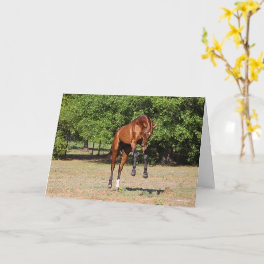 Bob Langrish | Akhal Teke Stallion Leaping Kaart (Gele Bloem)