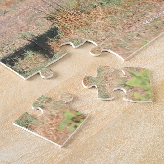 Bob Langrish | Akhal Teke Stallion Leaping Legpuzzel (Zijkant)