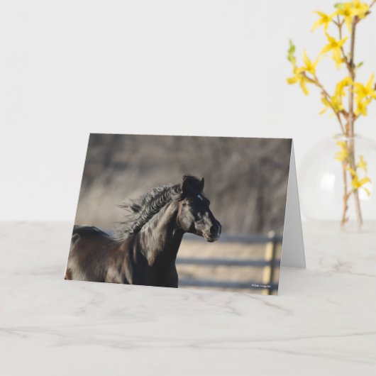 Bob Langrish | Andalucian Headshot Mane stroming Kaart (Gele Bloem)