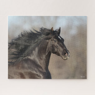 Bob Langrish Andalucian Headshot Mane stroming Legpuzzel