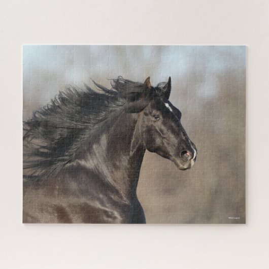Bob Langrish | Andalucian Headshot Mane stroming Legpuzzel (Horizontaal)