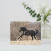 Bob Langrish | Andalucian Running Briefkaart (Staand voorkant)