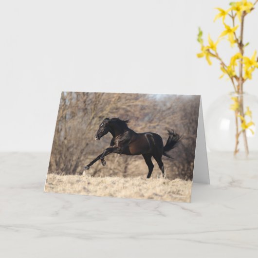 Bob Langrish | Andalucian Running Kaart (Gele Bloem)