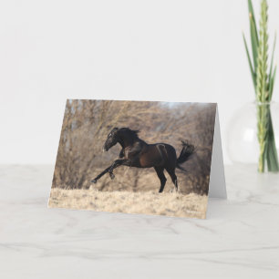 Bob Langrish   Andalucian Running Kaart